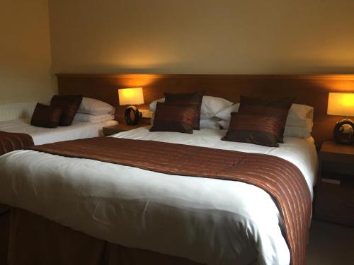 Anchorage Hotel - image 2
