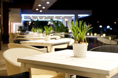 Hotel Flamero - image 5