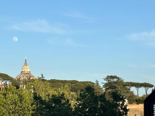 San Peter Dome Vista San Pietro, Rzym (zdjęcie 8)
