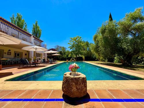 Finca Maridadi, Ronda (photo 3)
