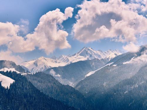 สภาพแวดล้อมโดยรอบ, Chalet Friedlach in เกอร์ลอสเบอร์เกเบิน