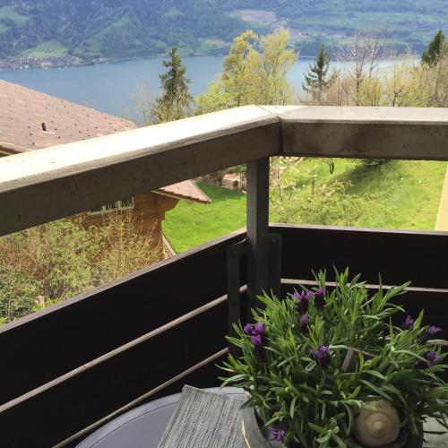 Apartments Seeblick mit Anbindung an ein 4-Sterne-Hotel - main image