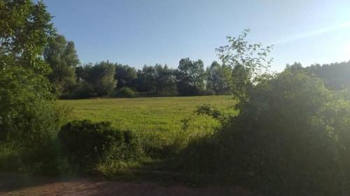 Forest Castle in Lowicz