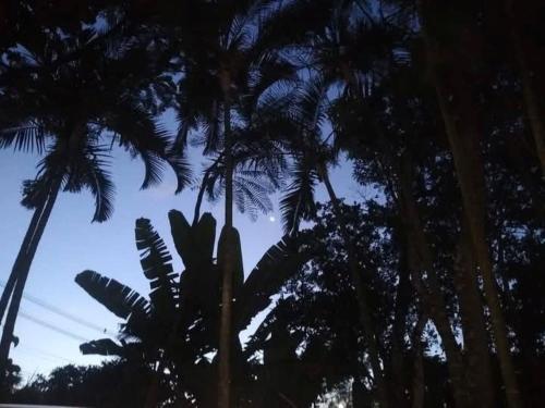 Surrounding environment, Camping da Malu in Sao Sebastiao (Sao Paulo)