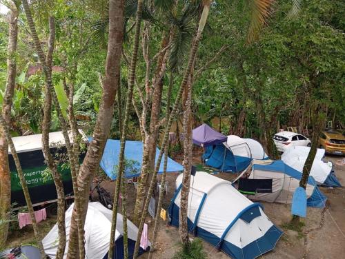 Surrounding environment, Camping da Malu in Sao Sebastiao (Sao Paulo)