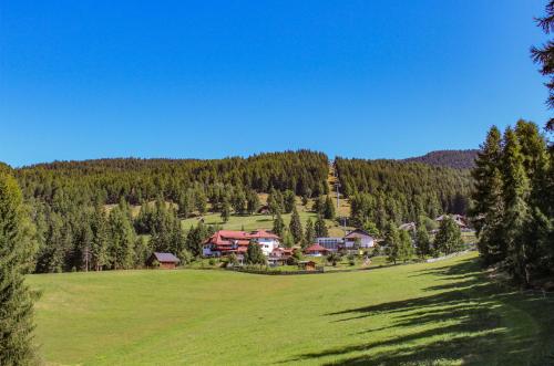 Berghotel zum Zirm - Renon