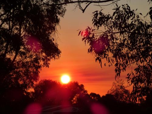 Glenrowan Kelly Country Motel