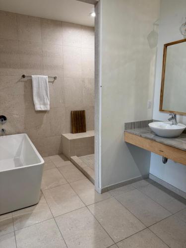 Deluxe King Suite image 4