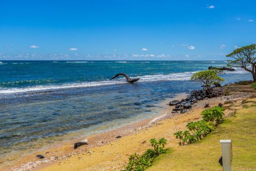 Kapaa Shore C324 - image 5