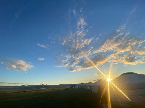tuin, 1000 Starlight Steppe Camp in Gurvanbulag