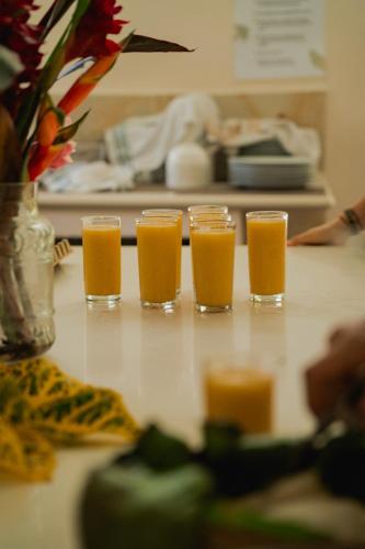 Awake Uvita in Uvita