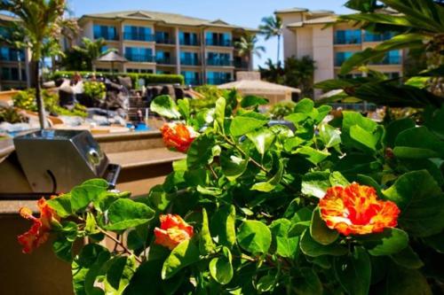 บริการและสิ่งอำนวยความสะดวก, Waipouli Beach Resort D101 in คาปา