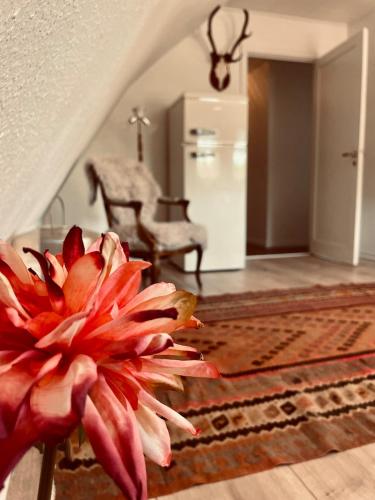 Charming rooftop apartment in Uhre in บรังเดอ