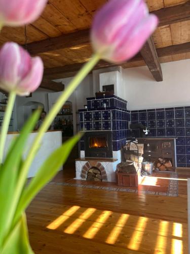 Facilities, Penzion Mustelka in Vilemov