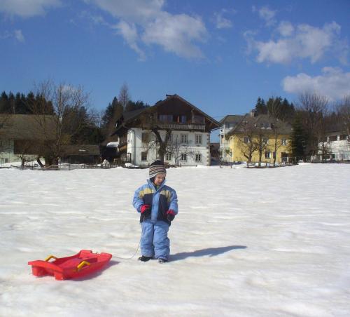 Zimmer und Ferienwohnungen "Heidis Welt" Podlanig