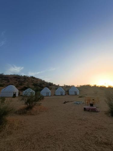 Kyzylkum Nights Camp & Family Yurt in Nurota