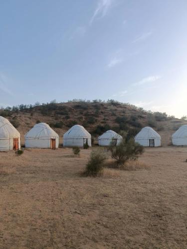 Kyzylkum Nights Camp & Family Yurt in Nurota