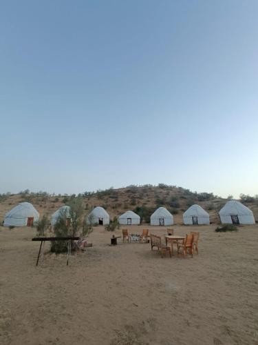 Kyzylkum Nights Camp & Family Yurt in Nurota