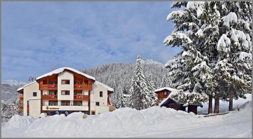 Ski Residence - Accommodation - San Martino di Castrozza