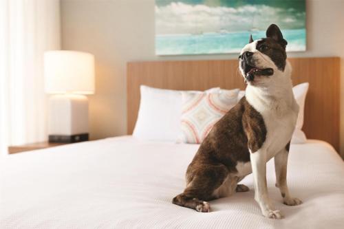 Hyatt House Virginia Beach / Oceanfront in Virginia Beach, USA