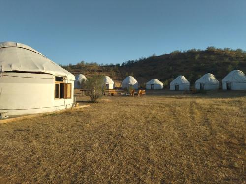 Authentic Uzbek Yurt Camp eco-friendly in Nurota