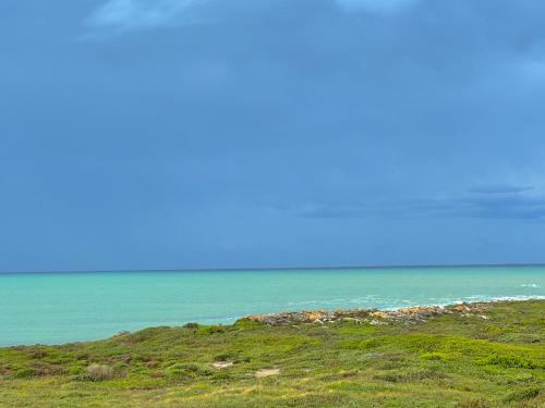 Gratitude, Struisbaai (fotografie 2)
