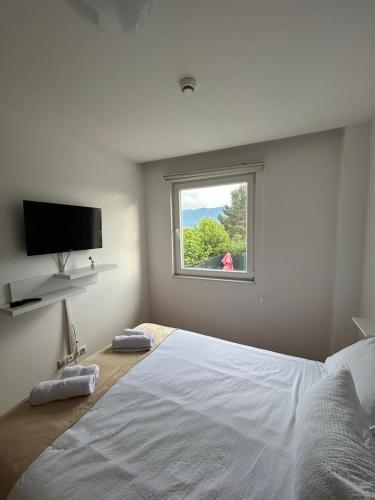 1 queen bed, 1 sofa bed