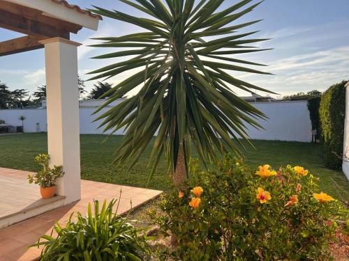 Precioso Chalet en el Palmar