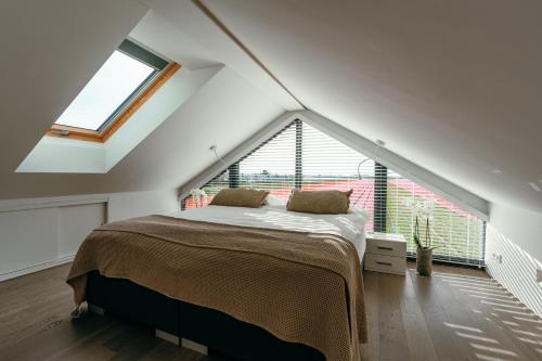 Bos, duin en strand huisje, Noordwijk (fotografie 4)