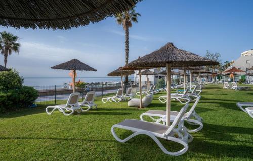 La Barracuda - image 5
