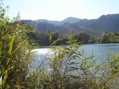 FEWO-IN-UNTERWOeSSEN-CHIEMGAU-OBERBAYERN - image 6