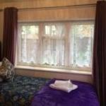 Metro Star - image 12