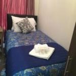 Metro Star - image 8