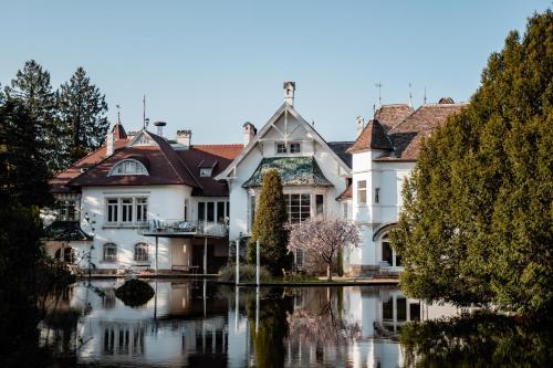 . Schloss Schönau