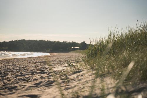 Sandvikens Strandby in 卡特哈馬斯維克