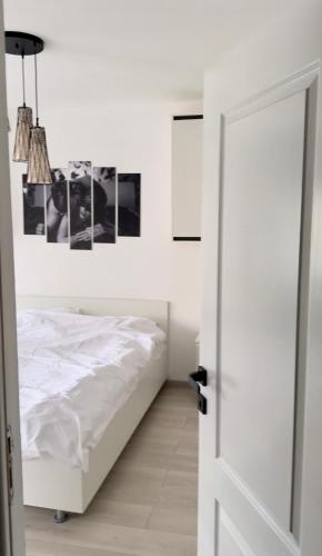 Cozy apartment