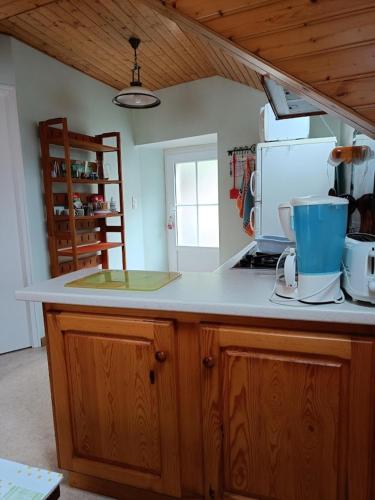 STUDIO Monnet gîte à louer Le Buisson