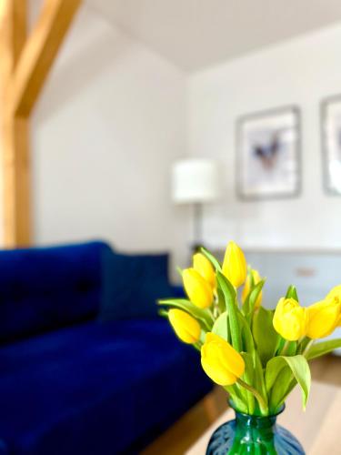 Apartament w samym sercu miasta z DARMOWYM PARKINGIEM Pod Złotym Lwem -hotel VI