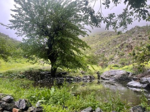 Surrounding environment, Yaxshigulhomestay in Forish