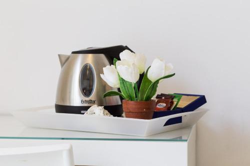 One-Bedroom Apartment image 9