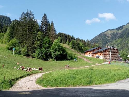 Location 2 pièces 4 pers, ascenseur, vue montagne, parking, St Jean d'Aulps - FR-1-573-40 (Location 2 pieces 4 pers, ascenseur, vue montagne, parking, St Jean d'Aulps - FR-1-573-40) in Le Biot