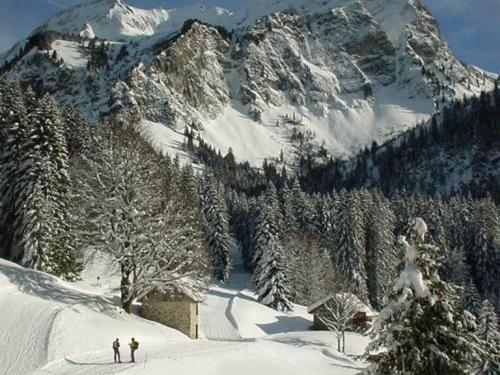 Location 2 pièces 4 pers, ascenseur, vue montagne, parking, St Jean d'Aulps - FR-1-573-40 (Location 2 pieces 4 pers, ascenseur, vue montagne, parking, St Jean d'Aulps - FR-1-573-40) in Le Biot