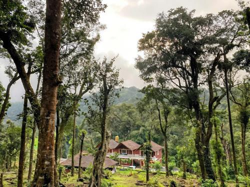 Surrounding environment, Aindra Coorg By Dazzle Destinations - Water Activities and Private Rooms in Kumarahalli