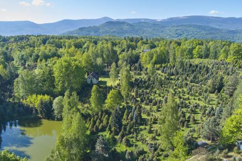 Agroturystyka - Srebrny Las - Jelenia Gora