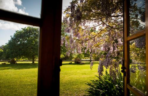 Pazo da Touza - image 9