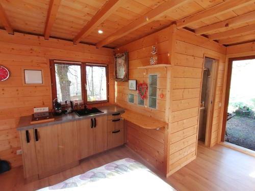 Cabane en forêt (Cabane en foret) in Marcellaz-Albanais