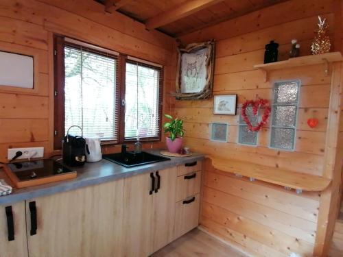 Cabane en forêt (Cabane en foret) in Marcellaz-Albanais