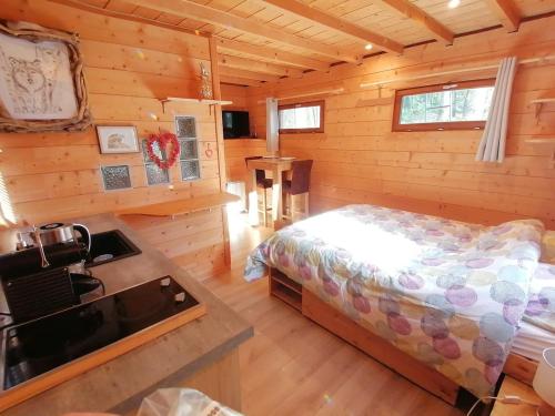 Cabane en forêt (Cabane en foret) in Marcellaz-Albanais