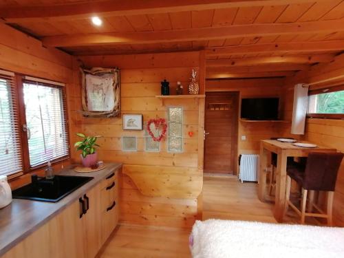 Cabane en forêt (Cabane en foret) in Marcellaz-Albanais