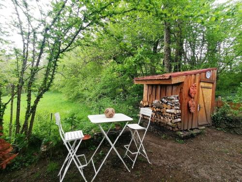 Cabane en forêt (Cabane en foret) in Marcellaz-Albanais